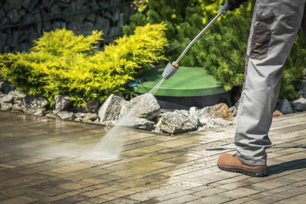 Best Sign and Awning Cleaning  in Lake Park, FL